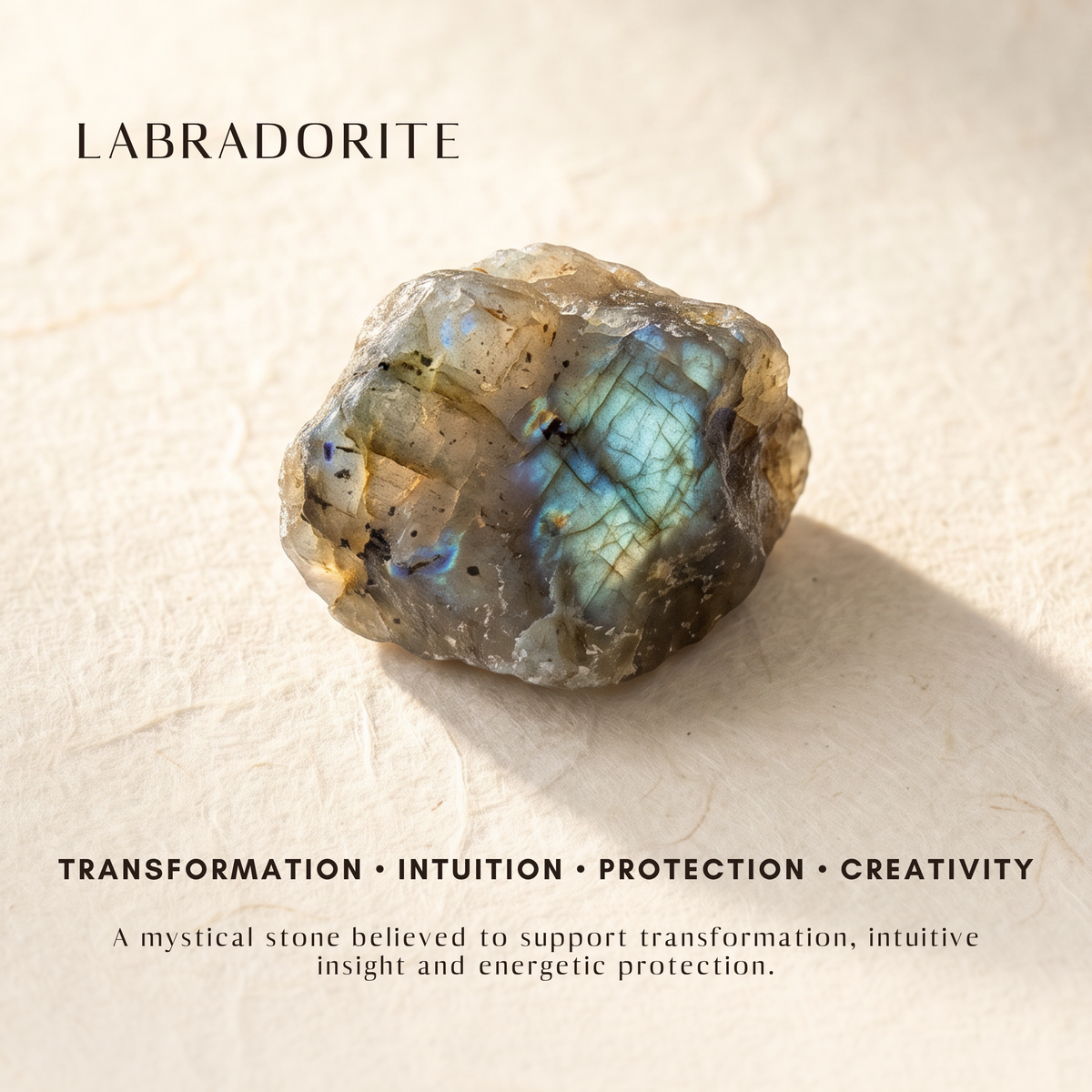 Batu Dragonfly Necklace | Labradorite