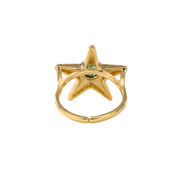 Batu Sea Star